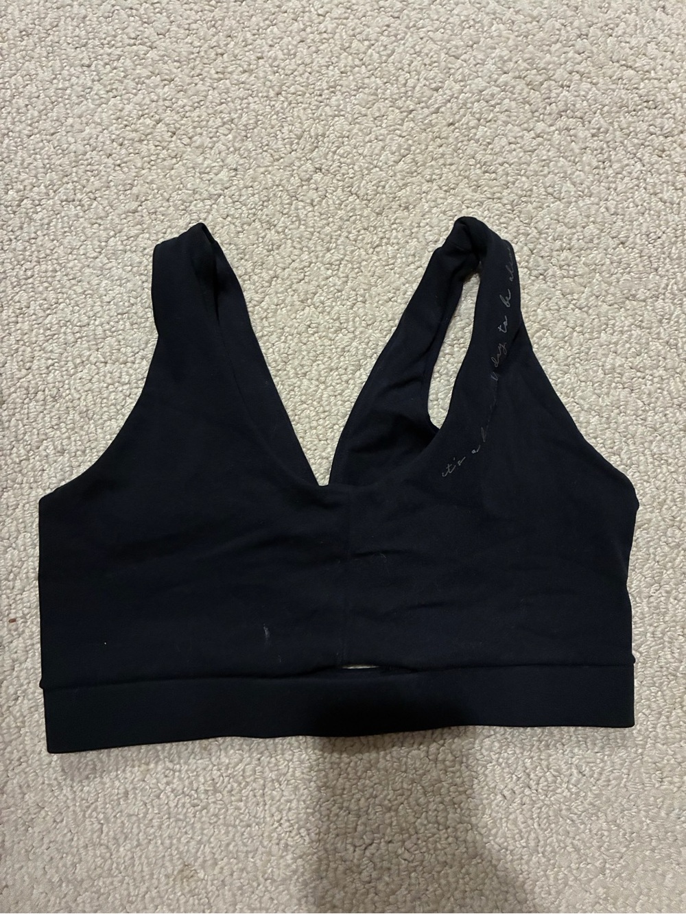 Original Whitney Simmons Gymshark Black V-Neck Seamless Sports Bra